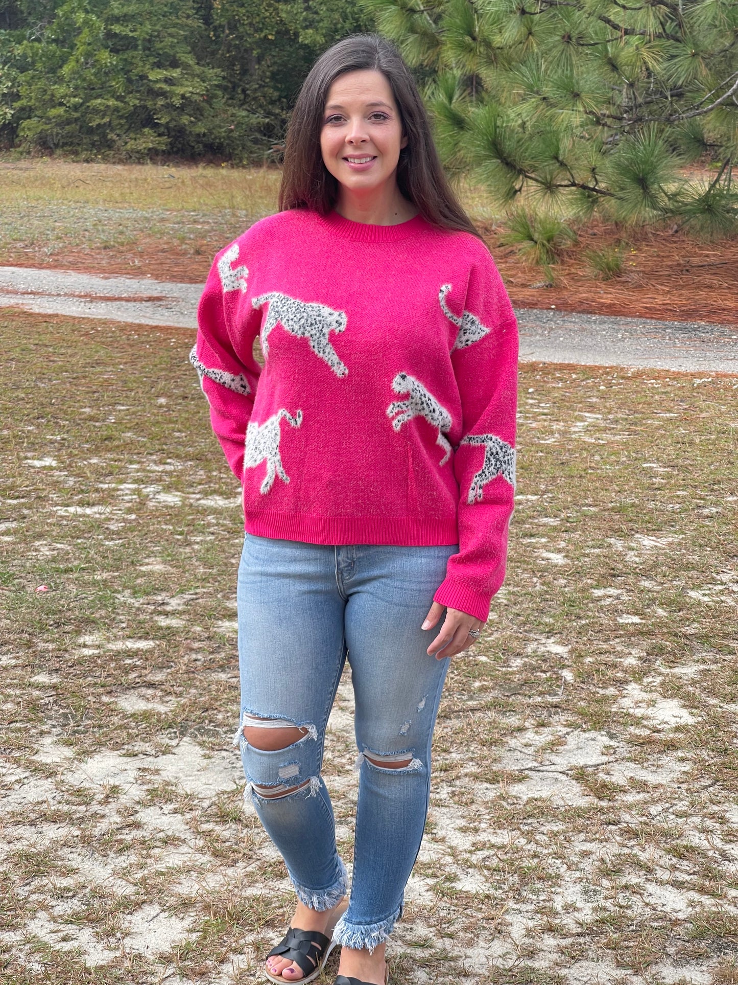 leopard print sweater in electric fuchsia