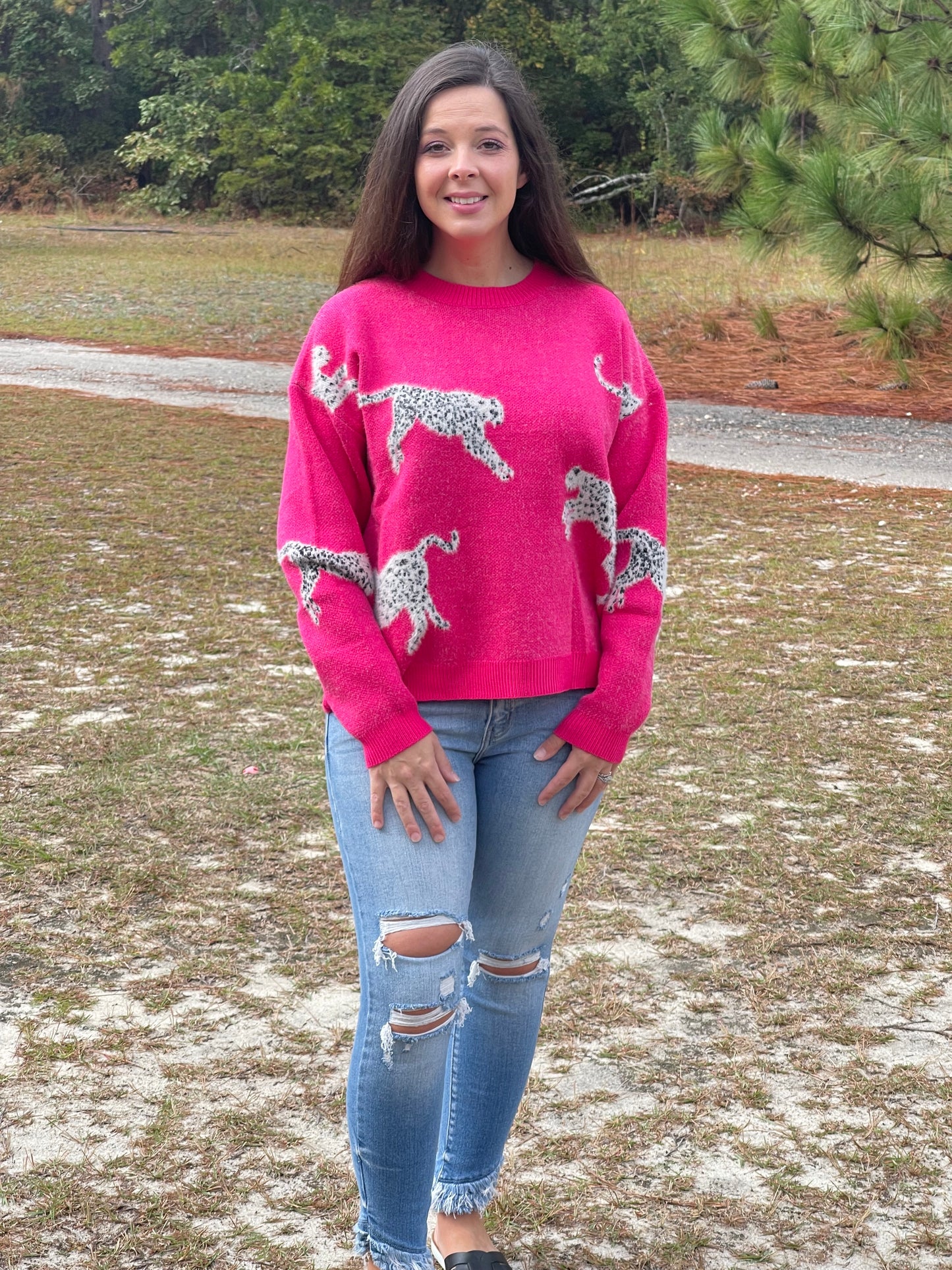 leopard print sweater in electric fuchsia