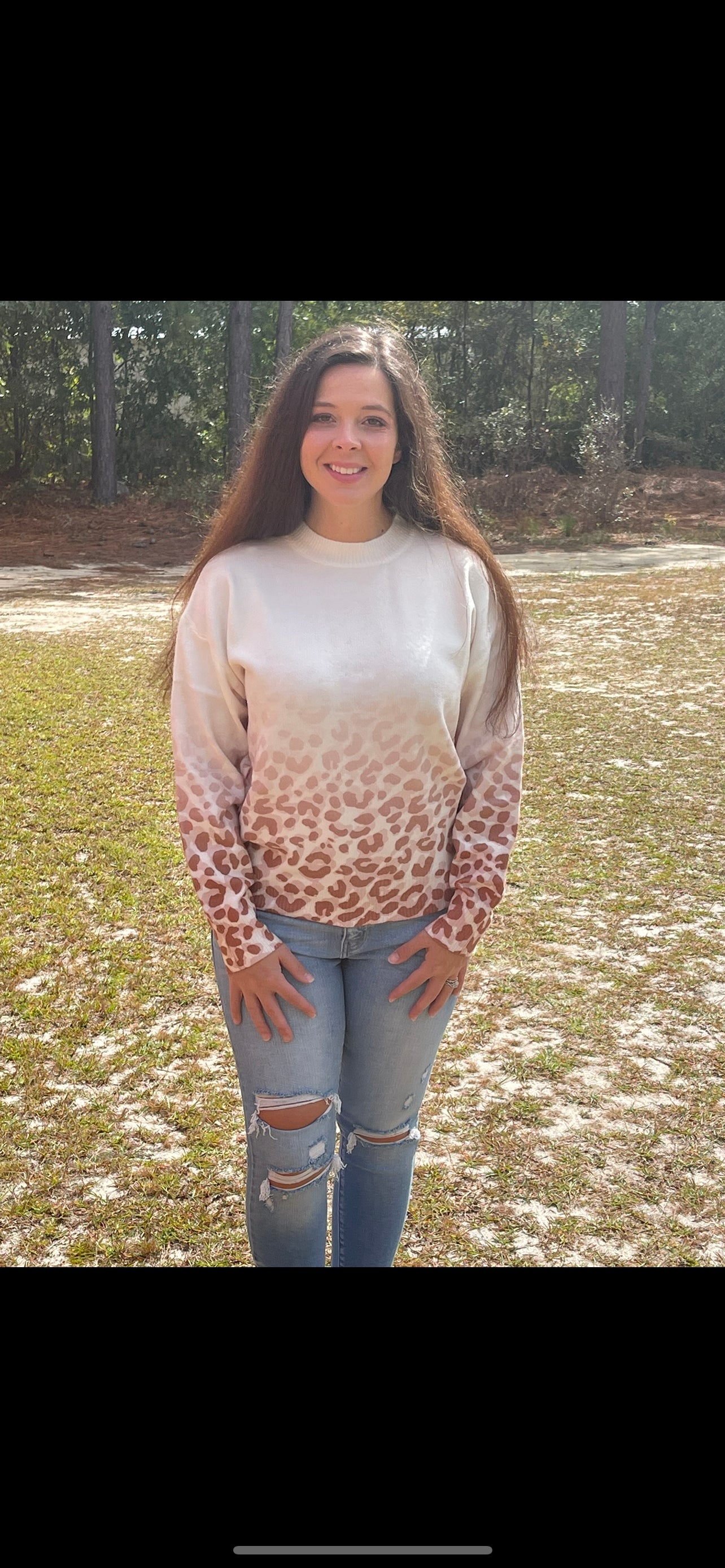 Ombré Animal Print Sweater